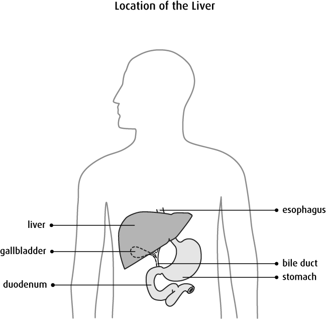 Causes - Sketch (649x634), Png Download