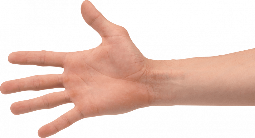 Hand Transparent Background (817x444), Png Download