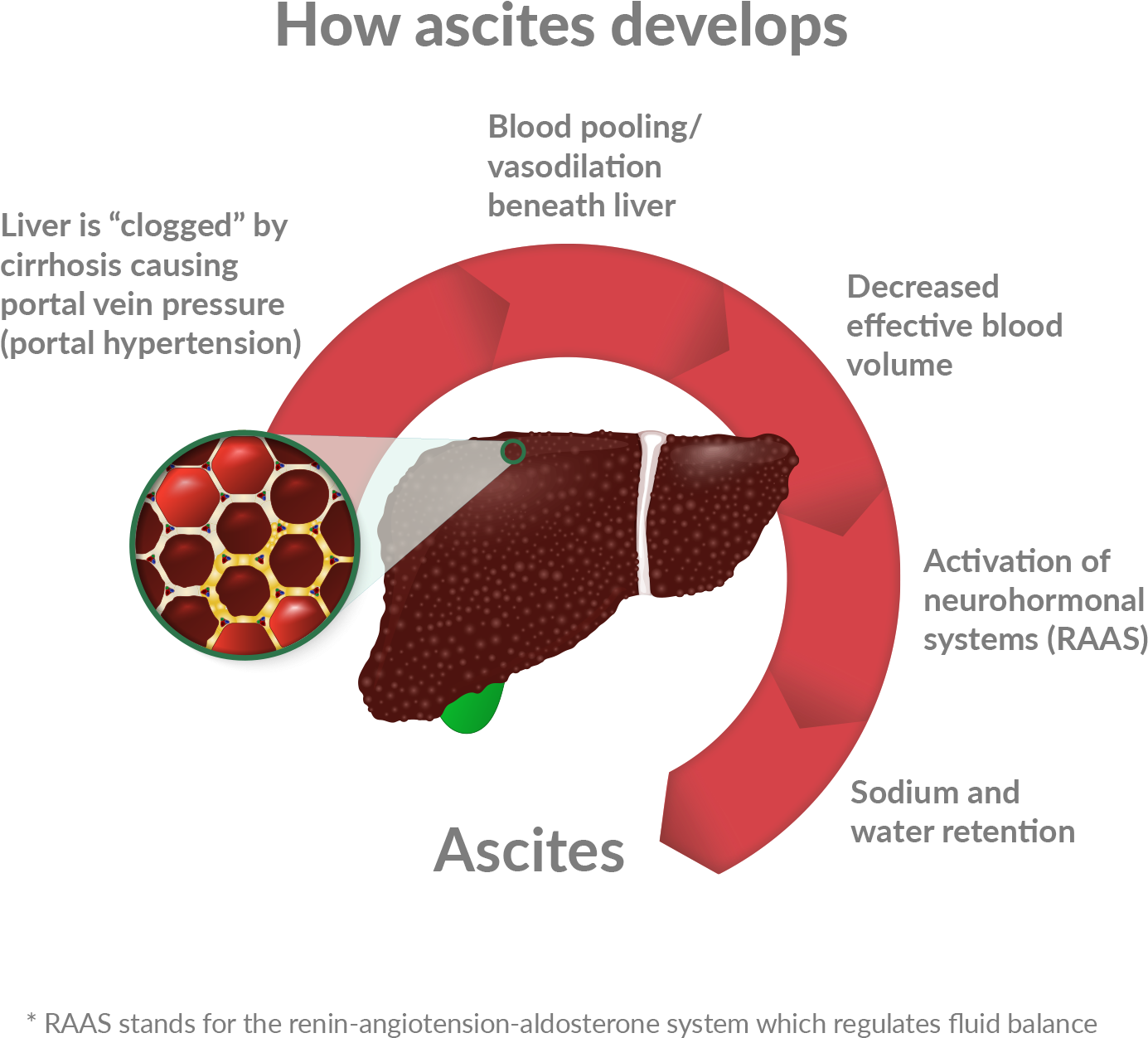 Anticipated Mechanism Of Action - Graphic Design (1800x1500), Png Download