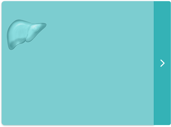 Liver Tumor Button - Sea Lion (696x518), Png Download