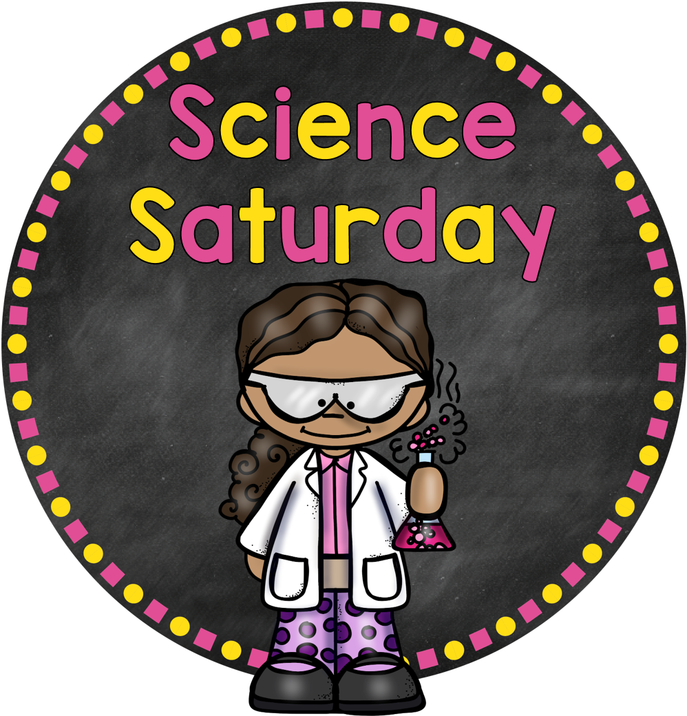 Bouncy Popcorn Kernels Are Fun To Watch - Pooped Today Meme (1050x1072), Png Download