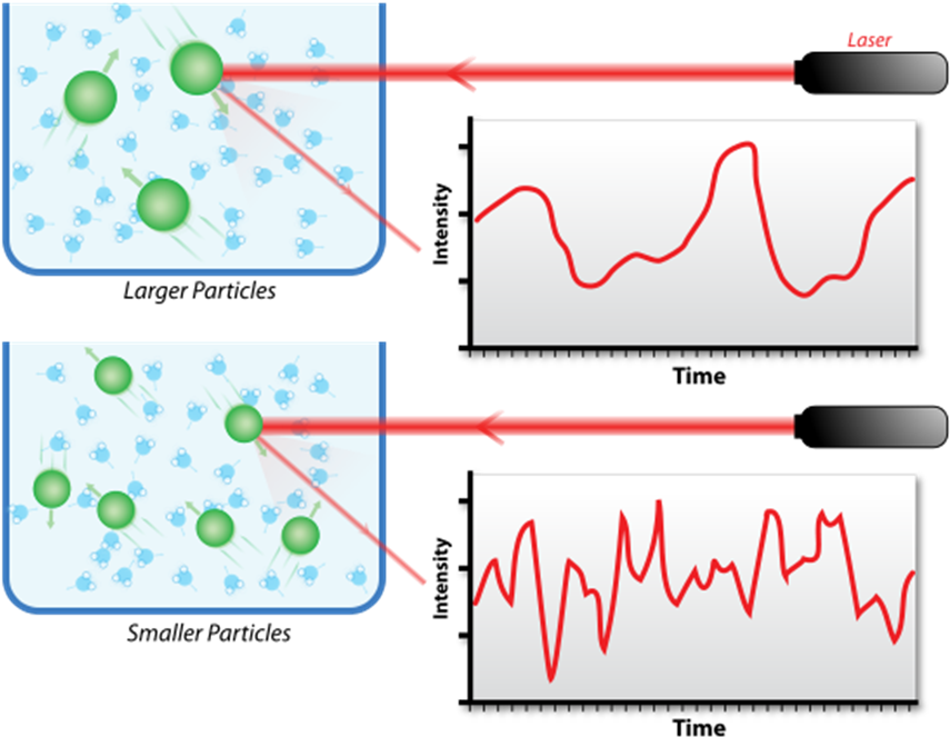 Particles In The Solution Could Be Acquired By Processing - Dynamic Light Scattering (862x686), Png Download
