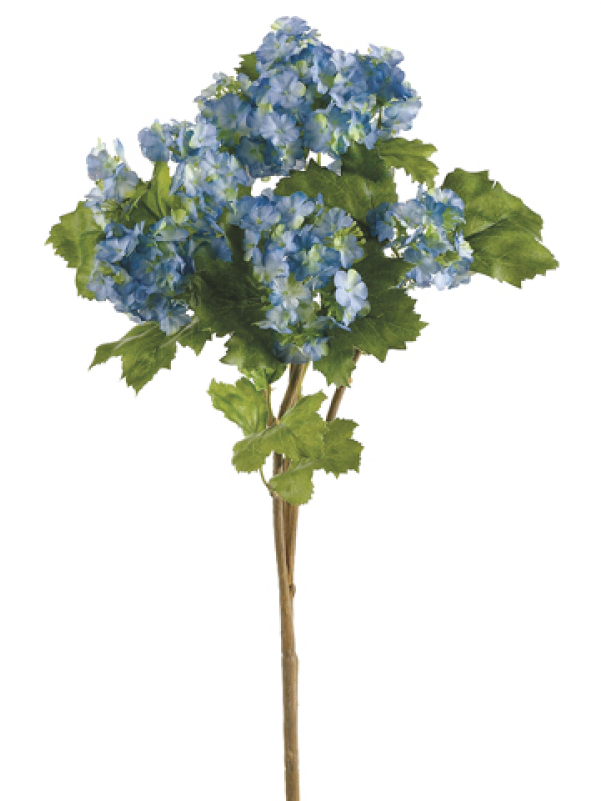 Inch Spray X Two Tone Blue - Hydrangea (800x800), Png Download