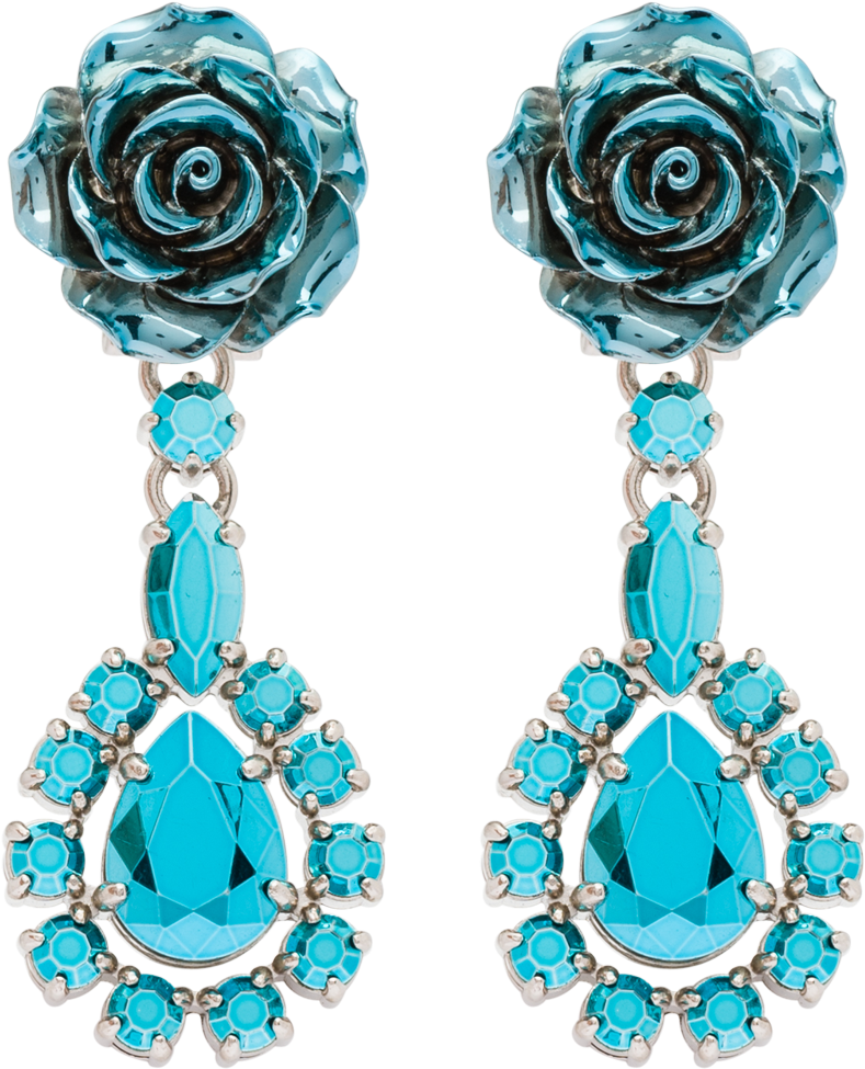 Earrings (2400x2400), Png Download