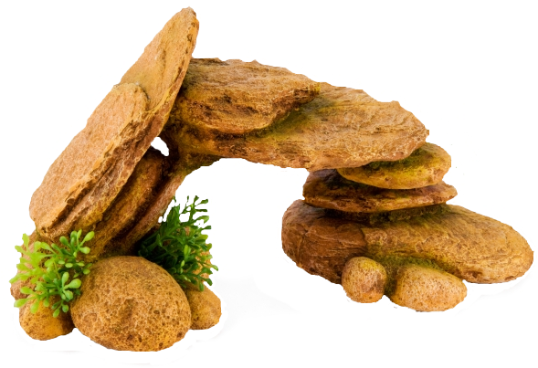 Photo Logs - Biscotti (600x600), Png Download