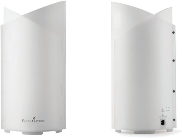 Bamboo - Computer Speaker (1000x667), Png Download