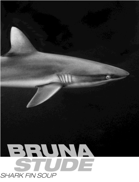 Ocean Meets Art - Great White Shark (870x580), Png Download
