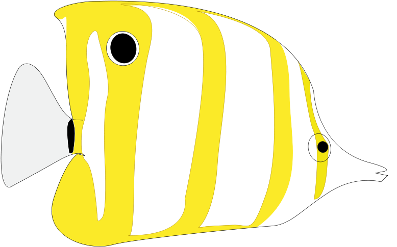 Clip Art (800x531), Png Download