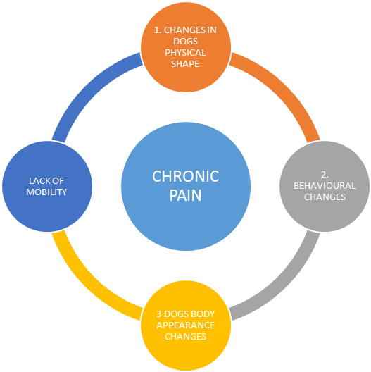 Chronic-pain - Professional Development Planning (900x527), Png Download