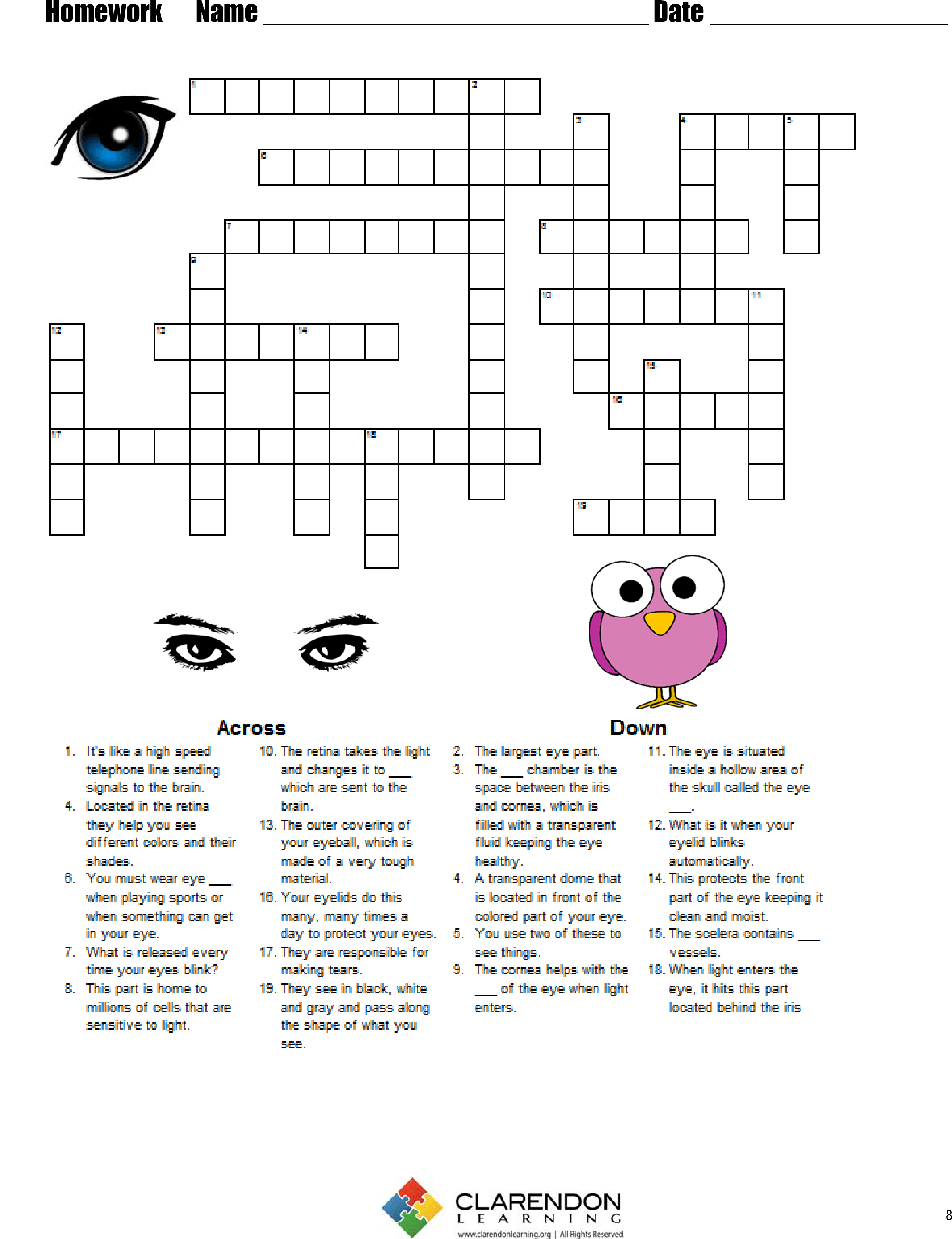 S-the Human Eye - Answer Class 9 Number System Technical Theater Vocabulary (2372x3078), Png Download