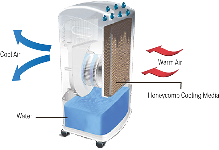 How Does An Evaporate Air Cooler Work - Electric Fan (752x525), Png Download