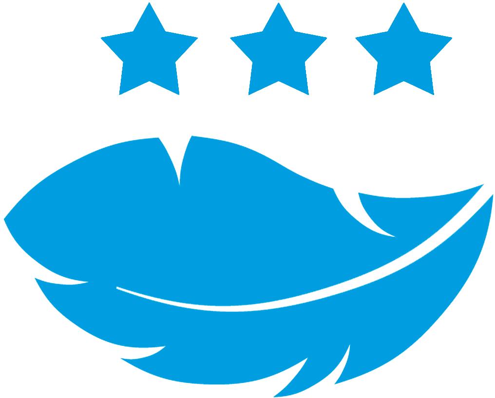 Duvet - Clasic - Superior - 1 Nube - Almohadas (1133x885), Png Download