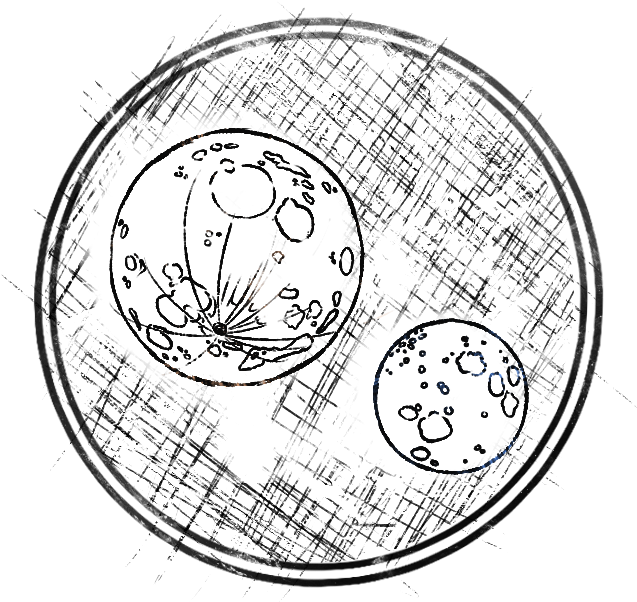 A Study In Loss, - Circle (800x800), Png Download