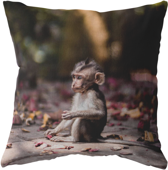 Baby Monkey - Iphone 8 Plus Monkey (580x580), Png Download