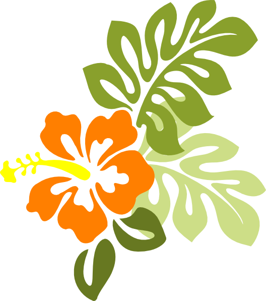 Graphic Transparent Library Clip Art At Clker Com Vector - Orange Hibiscus Flower Clipart (528x597), Png Download