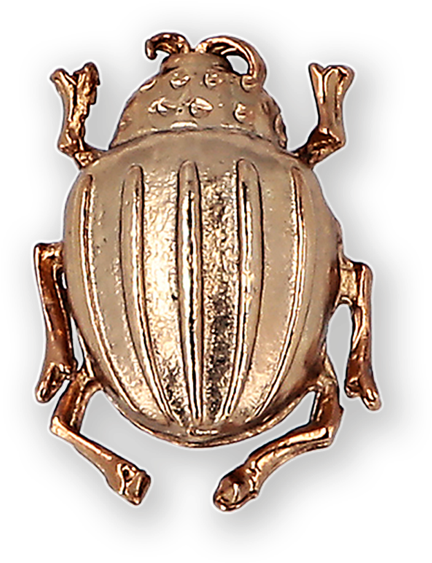Beetle Gold-plated Brooch Ss19 Collection, Pal Zileri - True Frog (960x1440), Png Download