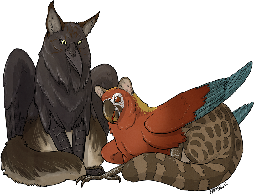 Biology - Types Of Griffins (850x680), Png Download