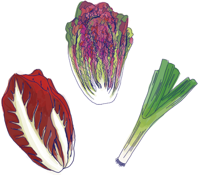 Veggies - Radicchio (733x667), Png Download