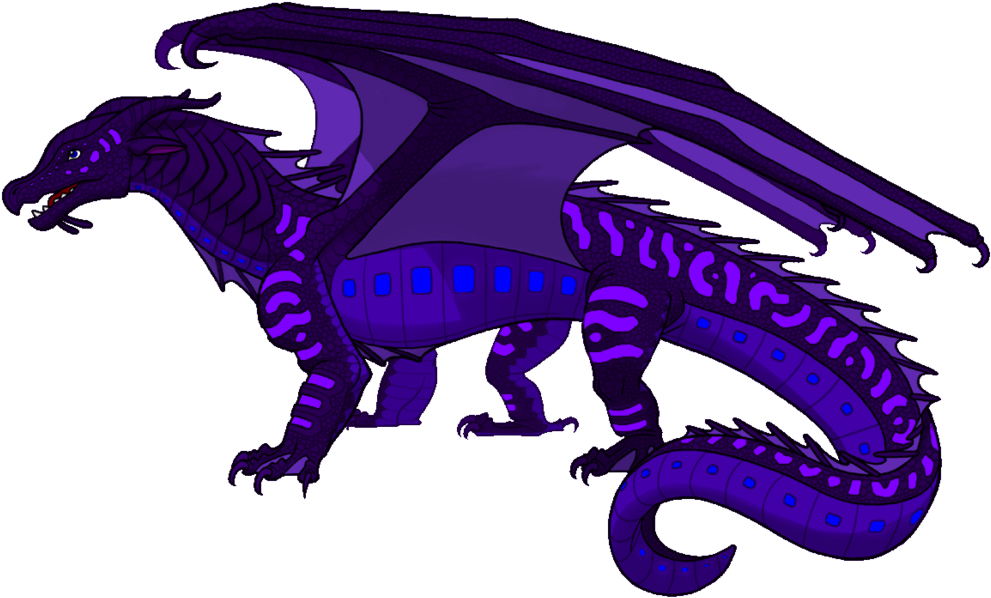 Animus Dragons - Wings Of Fire Seawing Rainwing Hybrid (1000x606), Png Download