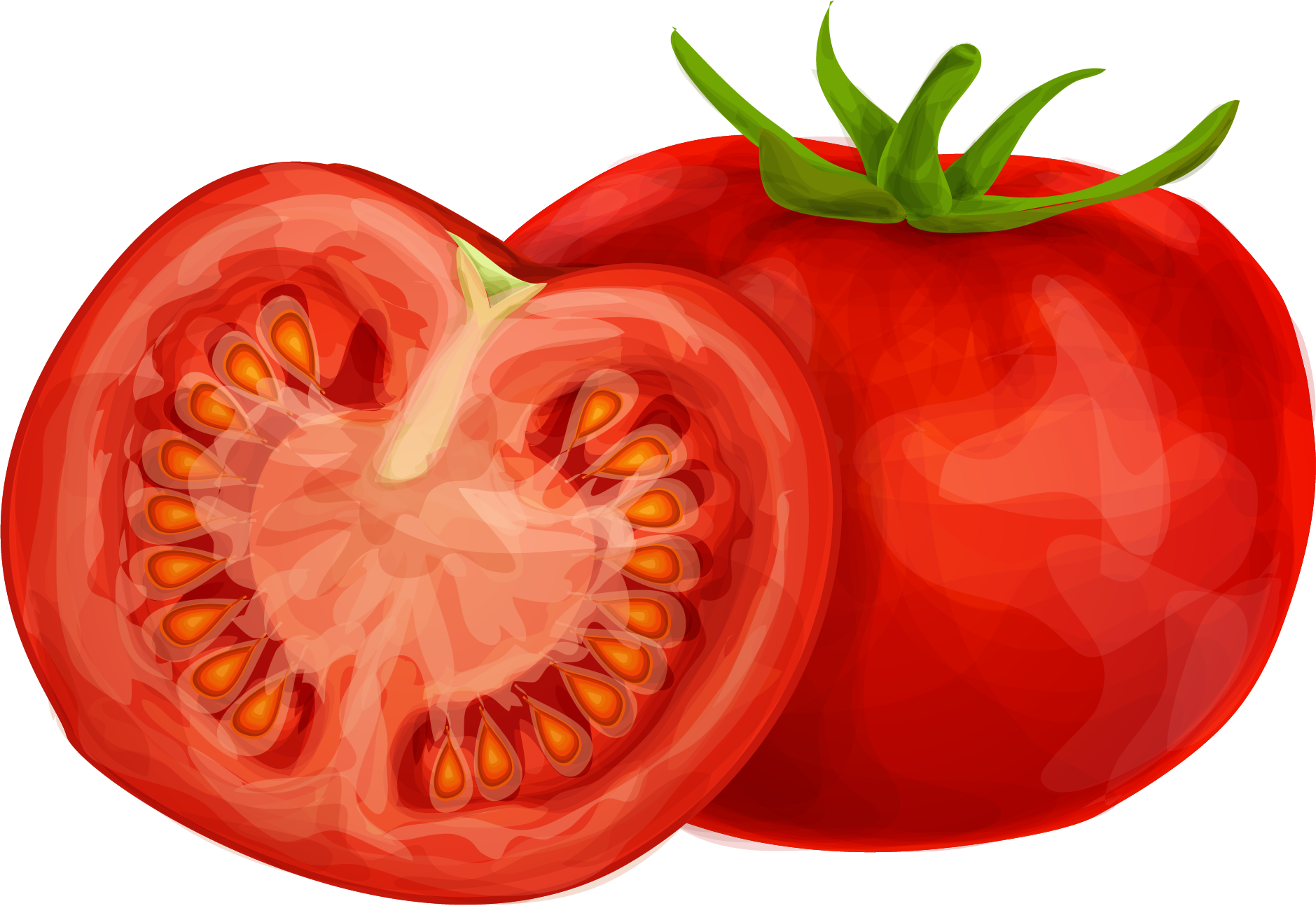 15 Tomato Clipart Png For Free Download On Mbtskoudsalg - Transparent Tomatos Clip Art (1879x1294), Png Download