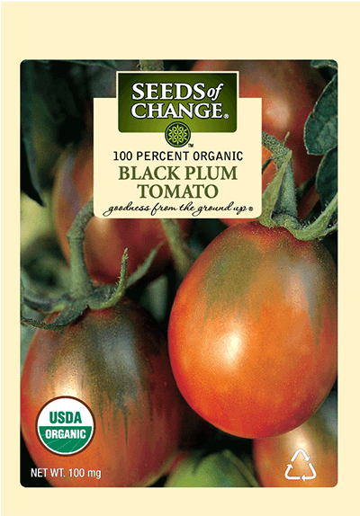 Organic Black Plum Cherry Tomato Seeds - Seeds Of Change (573x573), Png Download