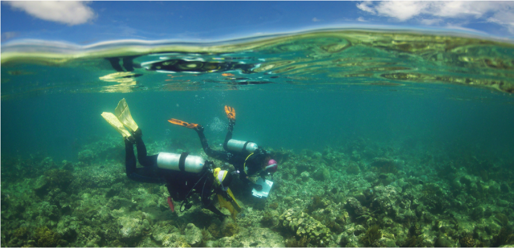 View Larger - Underwater (1024x683), Png Download