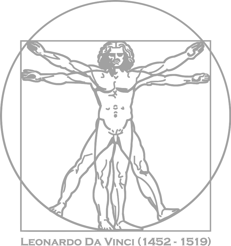 Da Vinci Vitruvian Man - Vitruvian Man Outline (800x850), Png Download