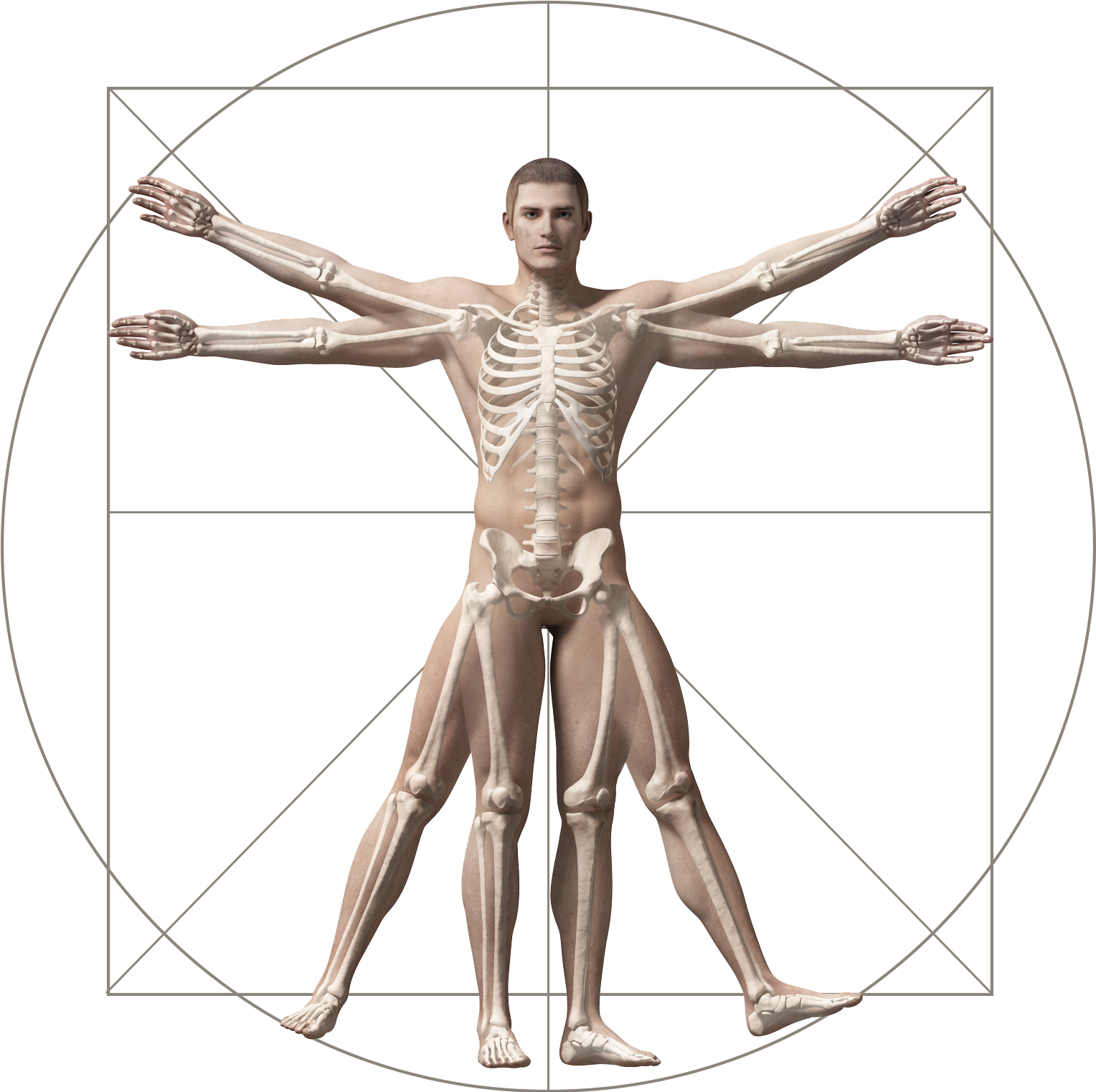 Where Does It Hurt - Vitruvian Man (1600x1550), Png Download