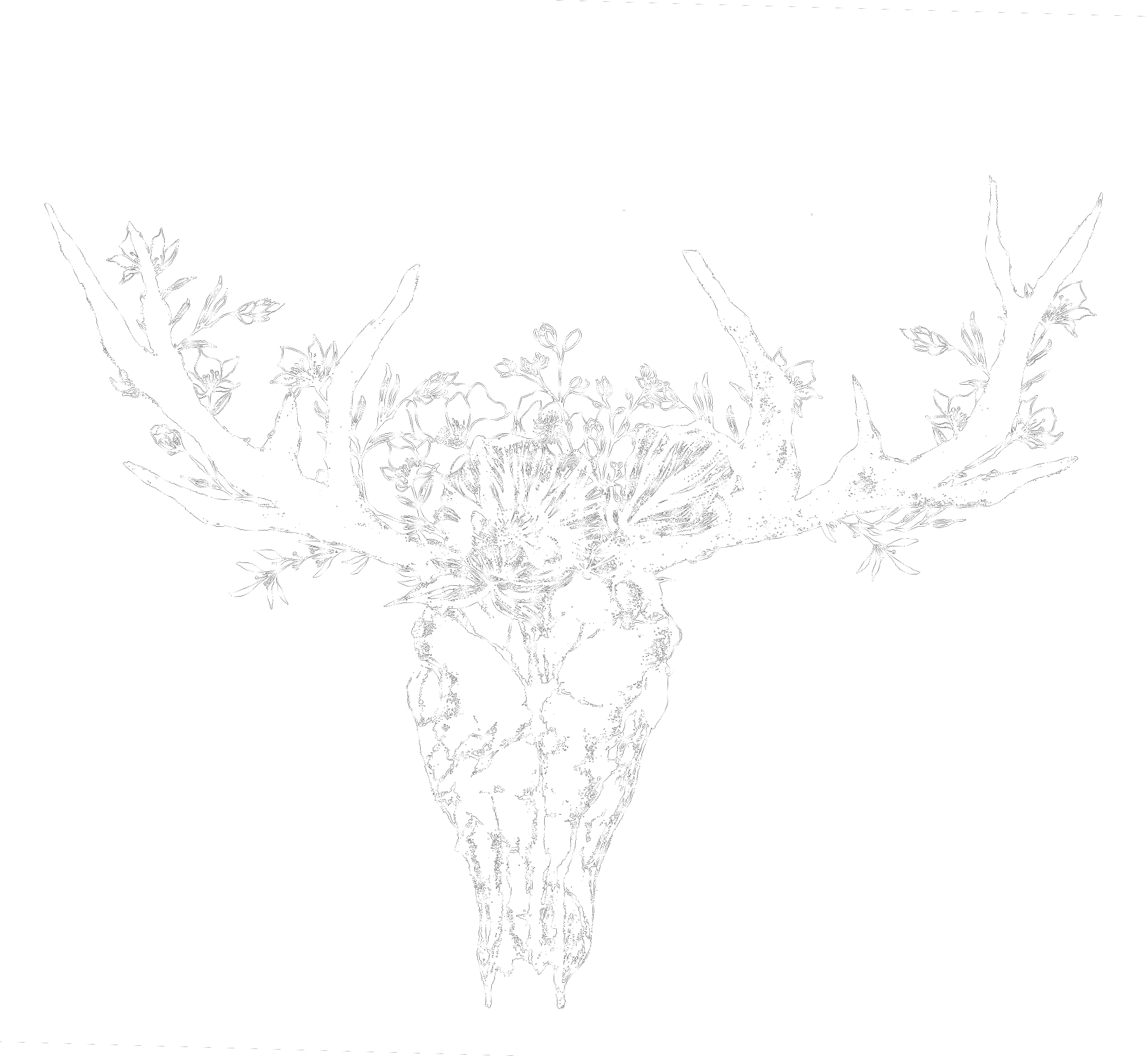 The Adamkovi The Adamkovi The Adamkovi - Antler (1804x1660), Png Download