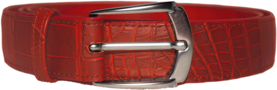 American Alligator Belt - Belt (1000x666), Png Download