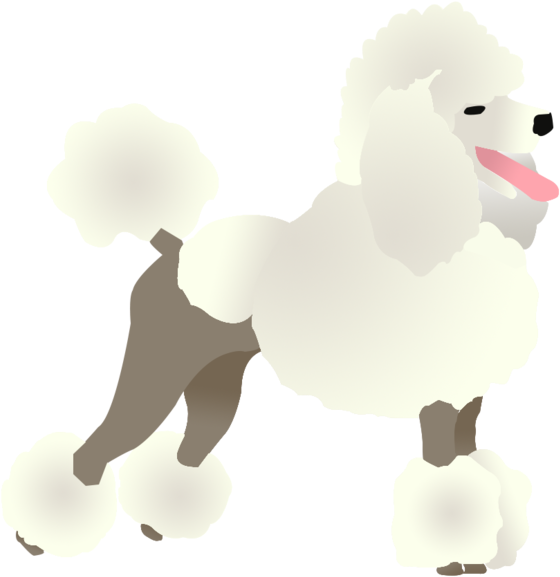 Poodle - Standard Poodle (1400x1253), Png Download