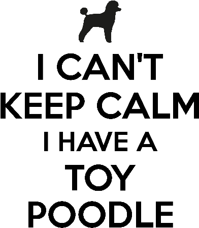 I Cant Keep Calm I Have A Toy Poodle - Vizsla (533x800), Png Download