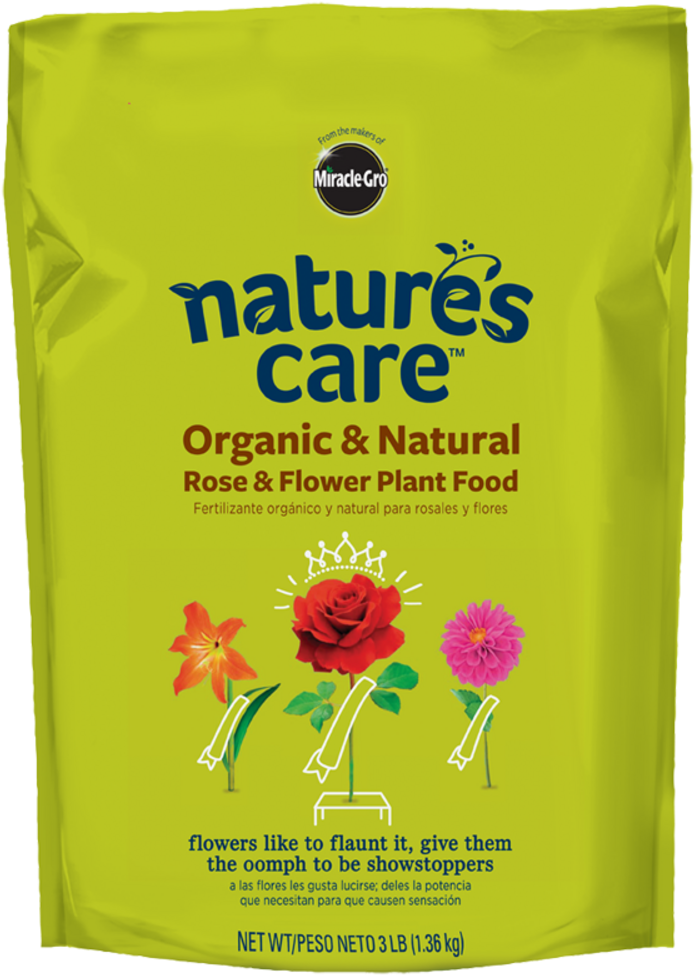 Prevnext - Common Zinnia (719x1000), Png Download