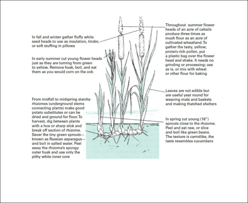 Image - Inov 8 Bare Grip 200 (804x657), Png Download