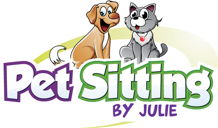 Dog Catches Something (902x602), Png Download