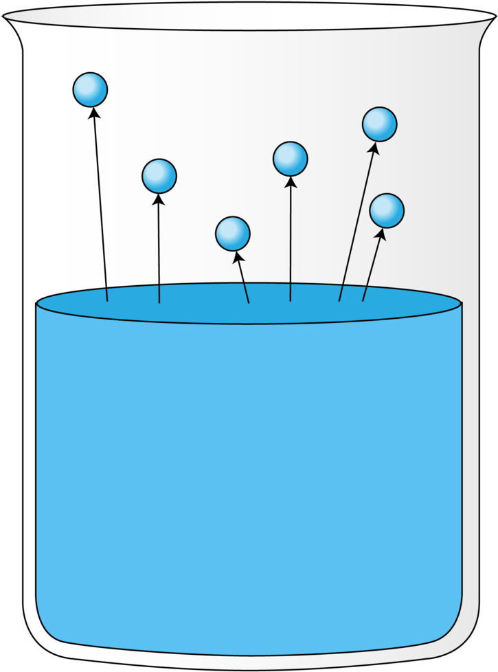 Particle Clipart Water Evaporation - Evaporation In A Cup (800x1035), Png Download