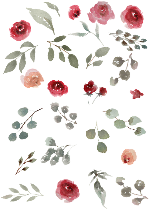 Watercolor Watercolor Roses Green Leaves Leaves - Garden Roses (514x720), Png Download