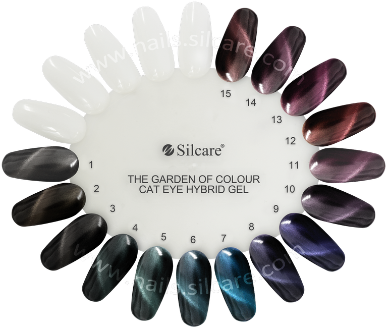 Silcare Cosmetics - Garden Of Colour Cat Eye (800x677), Png Download