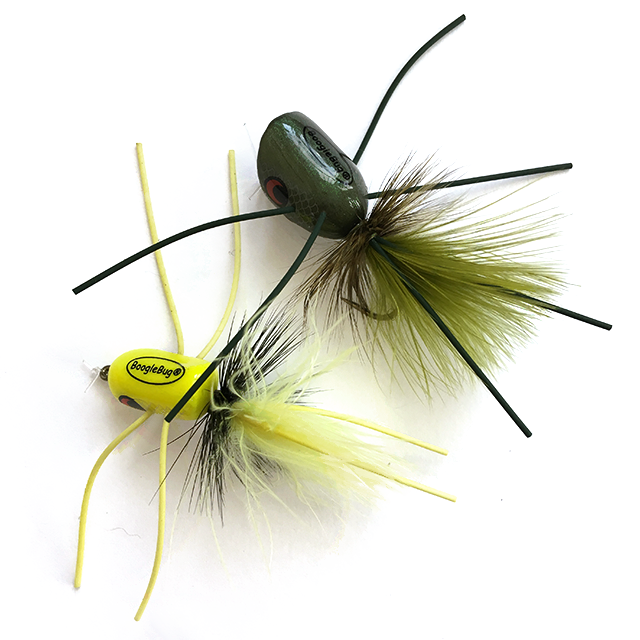 Smallmouth-flies - Insect (640x640), Png Download