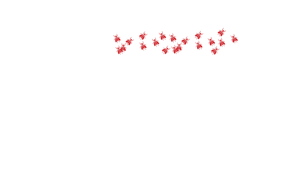 Image Image - Dairy Cow (960x960), Png Download