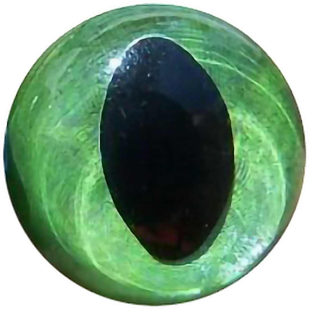 Eye Cat Cateye Ball Eyeball Art Transparent Freetoedit - Crystal (1024x1024), Png Download