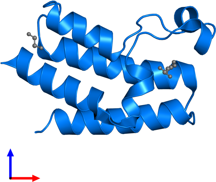 <div Class='caption-body'>pdb Entry 3nxb Contains 1 (800x800), Png Download