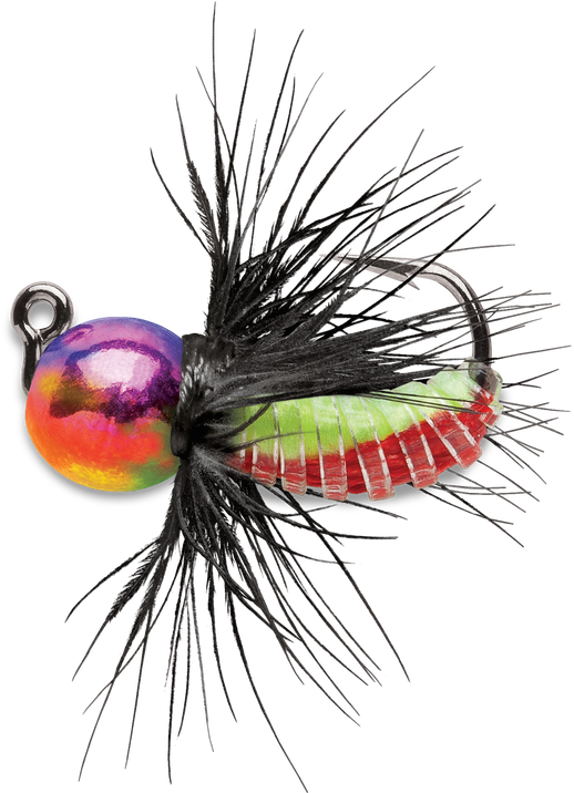 Insect (1000x715), Png Download