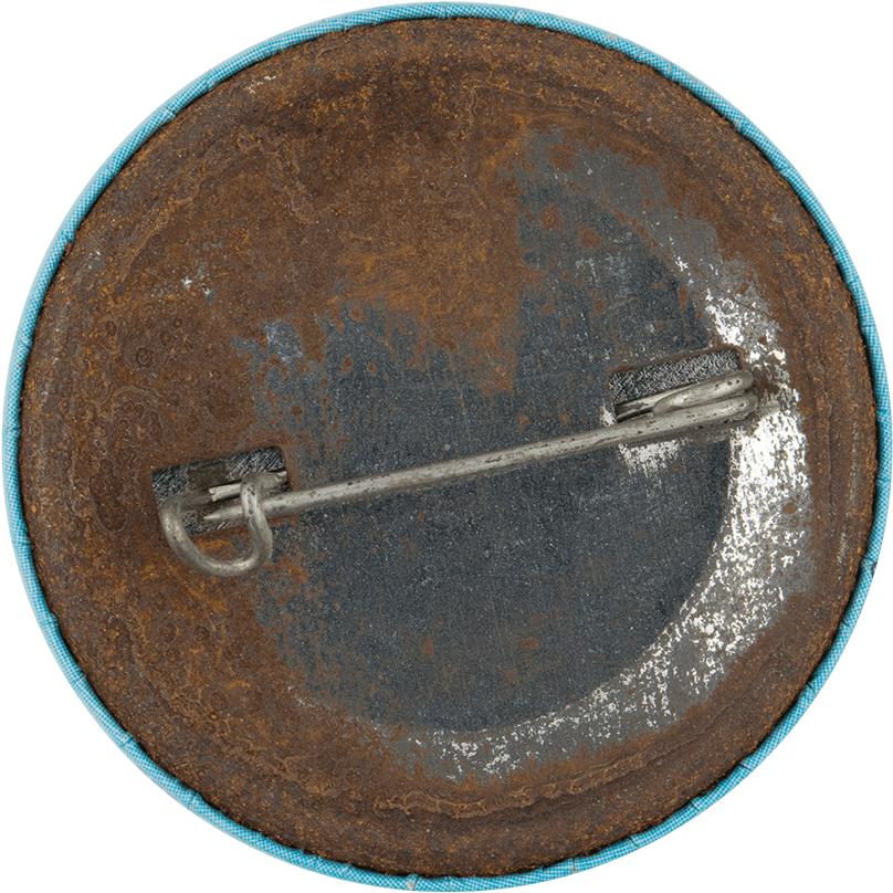 Fearless Leader Button Back Humorous Button Museum - Plywood (1000x922), Png Download