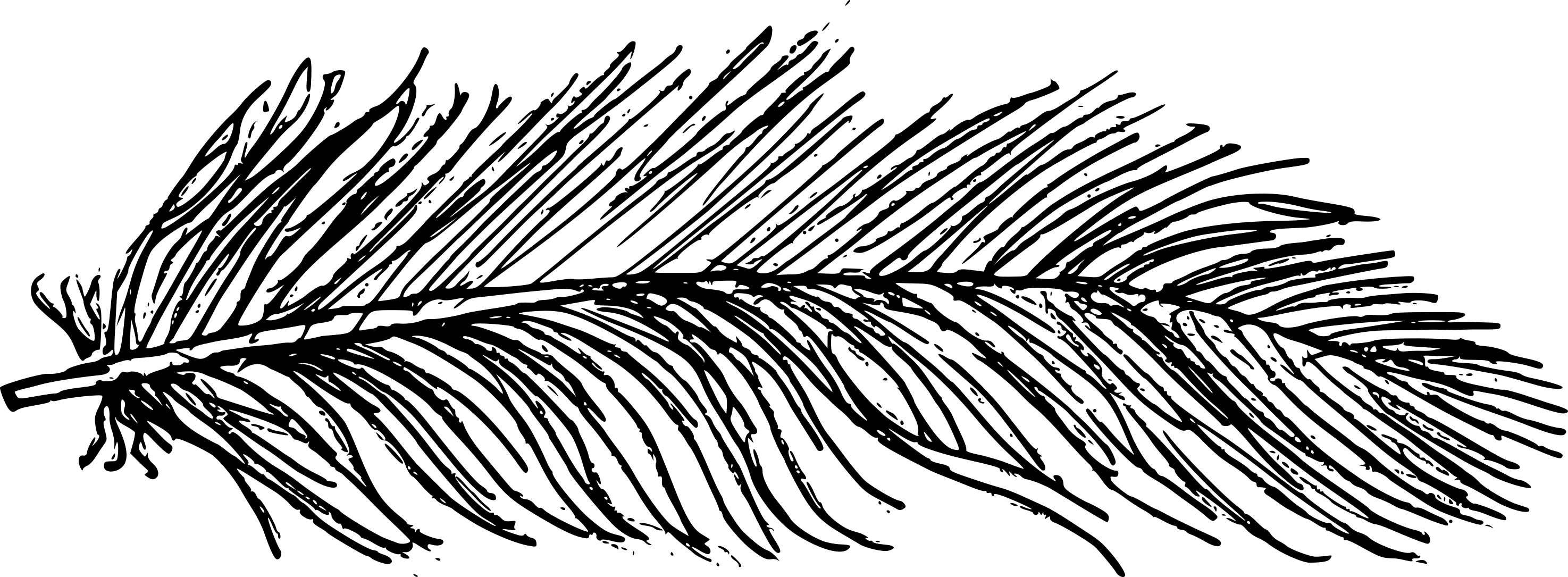 Free Download - Line Art (2949x1085), Png Download