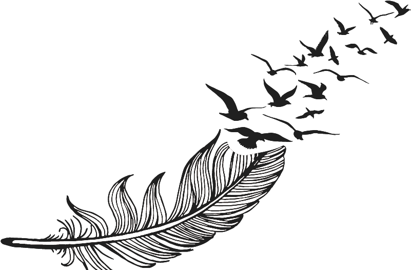 Feather Drawing Png (873x583), Png Download