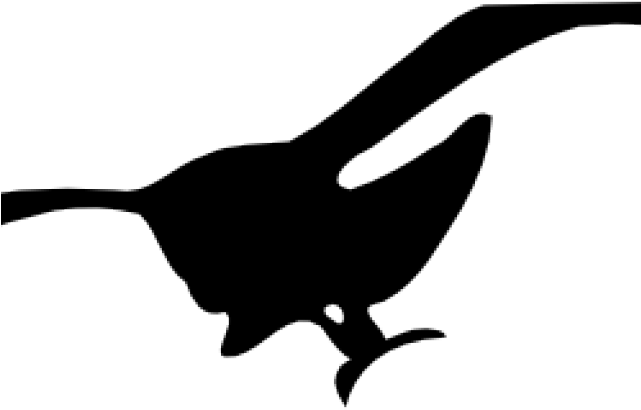 Seagull Silhouette Cliparts - Seagull Clip Art (640x480), Png Download