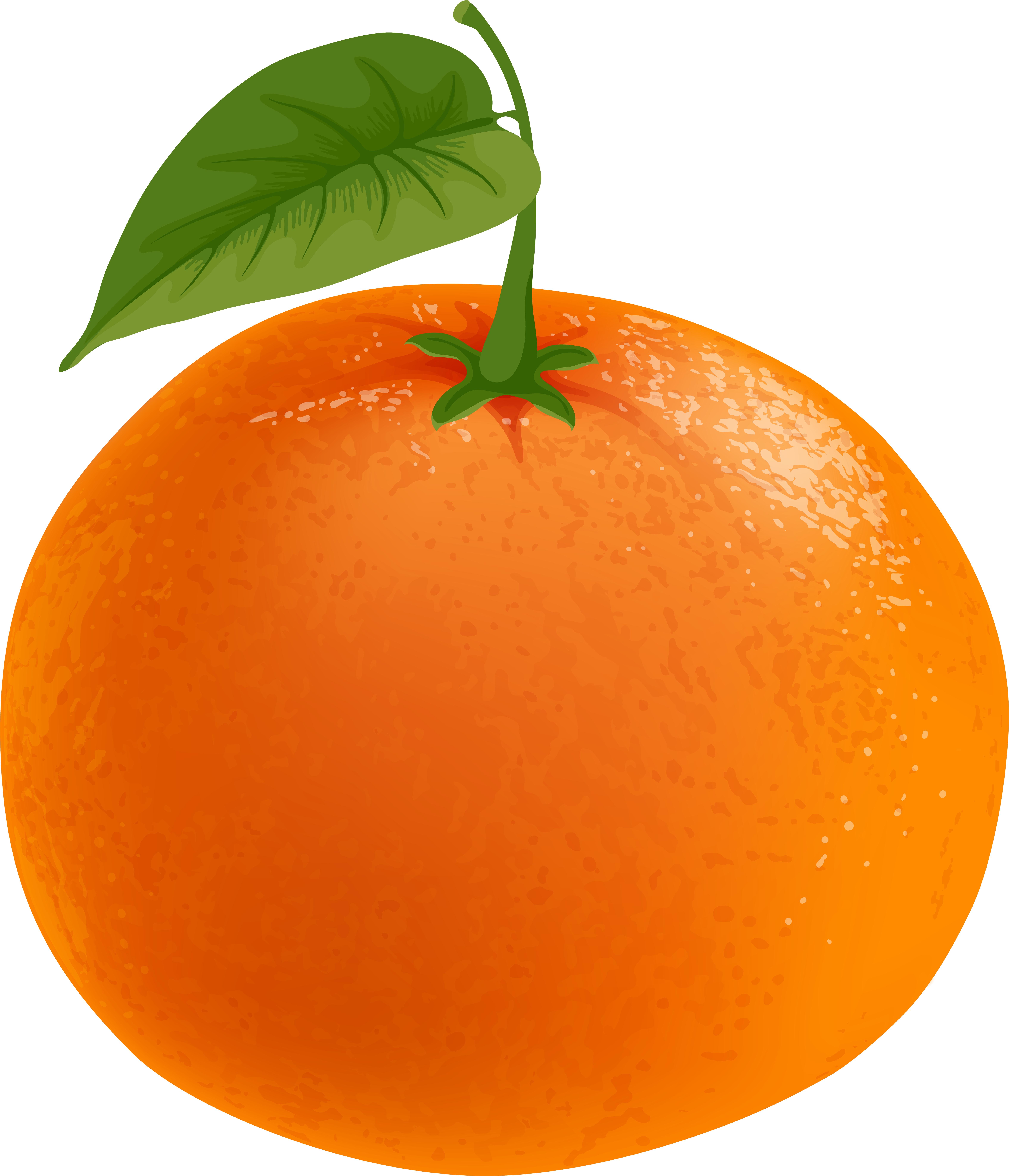 Grapefruit Png (6862x8000), Png Download