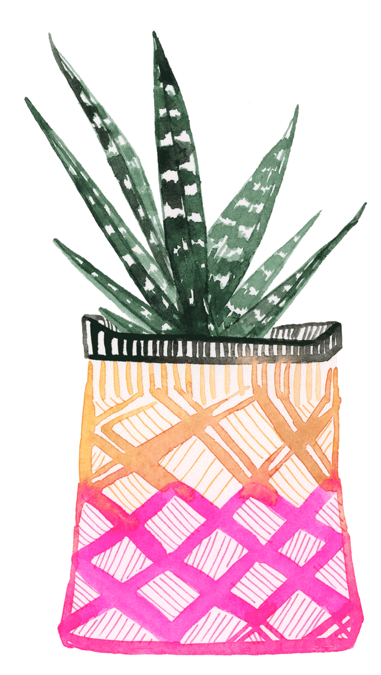 Planters-thumbnail (1000x1333), Png Download