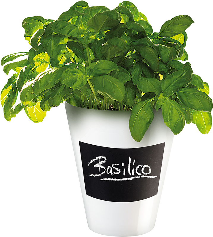 4509147 Asa-selection Memo Planter With Chalk Decal - Asa - Selection Memo Planter - White (800x800), Png Download